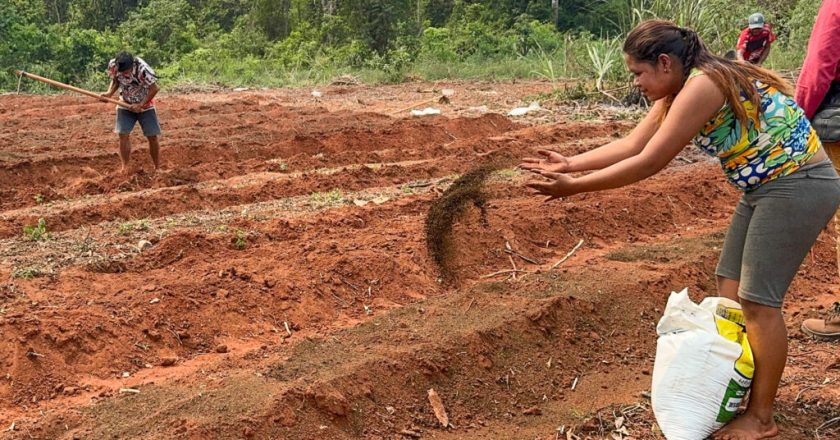 Nova etapa do projeto é iniciada em comunidades Guarani no Oeste e Litoral do Paraná