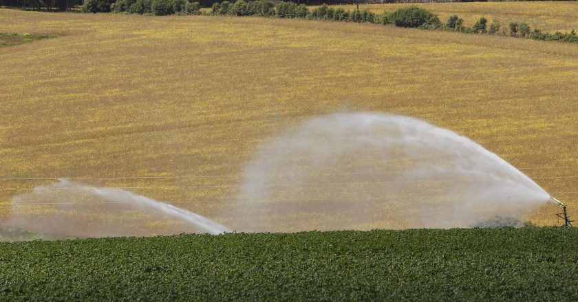 Paraná estende benefício fiscal para o setor agropecuário até 2026