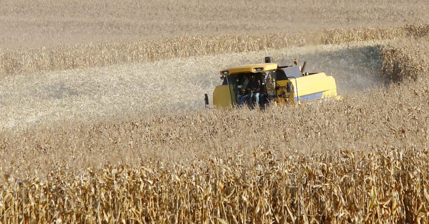 Paraná se destaca como emergente centro de etanol de milho, com produção crescendo 71%