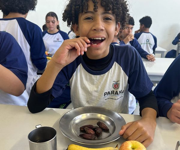 Pinhão conquista destaque nas refeições escolares da rede estadual