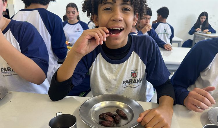 Pinhão conquista destaque nas refeições escolares da rede estadual