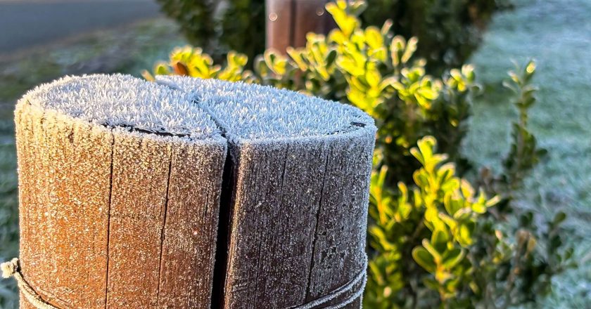 Guarapuava registra frio intenso com temperatura de 1,4°C nesta quarta-feira