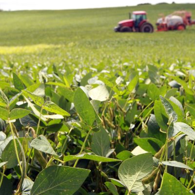 Soja gera US$ 2,94 bilhões e fortalece o agronegócio paranaense até maio
