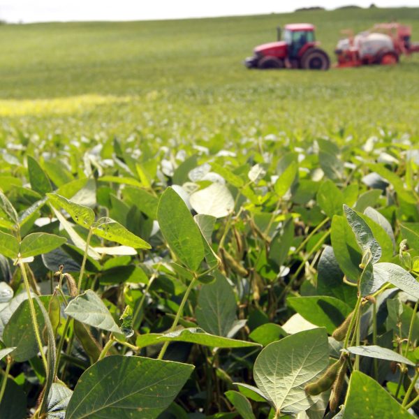 Soja gera US$ 2,94 bilhões e fortalece o agronegócio paranaense até maio