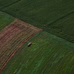 Produção Agropecuária do Paraná registra aumento de 13% e chega a R$ 212,6 bilhões em 2025