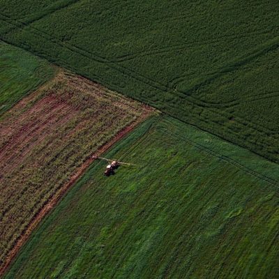 Produção Agropecuária do Paraná registra aumento de 13% e chega a R$ 212,6 bilhões em 2025