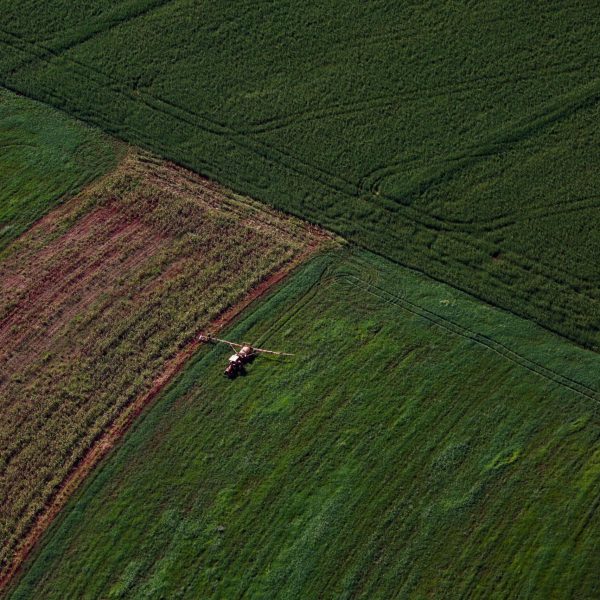 Produção Agropecuária do Paraná registra aumento de 13% e chega a R$ 212,6 bilhões em 2025