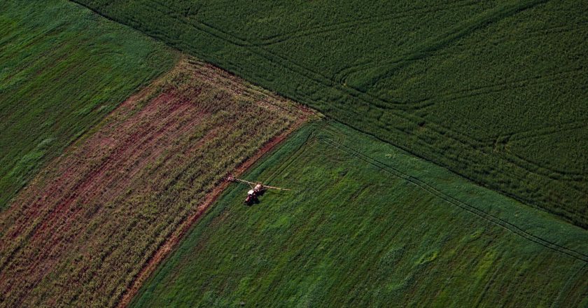 Produção Agropecuária do Paraná registra aumento de 13% e chega a R$ 212,6 bilhões em 2025