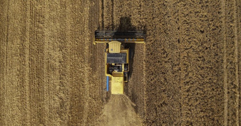 Condições climáticas benéficas estimulam cultivo de cevada no Paraná, com previsão de 126 mil hectares semeados