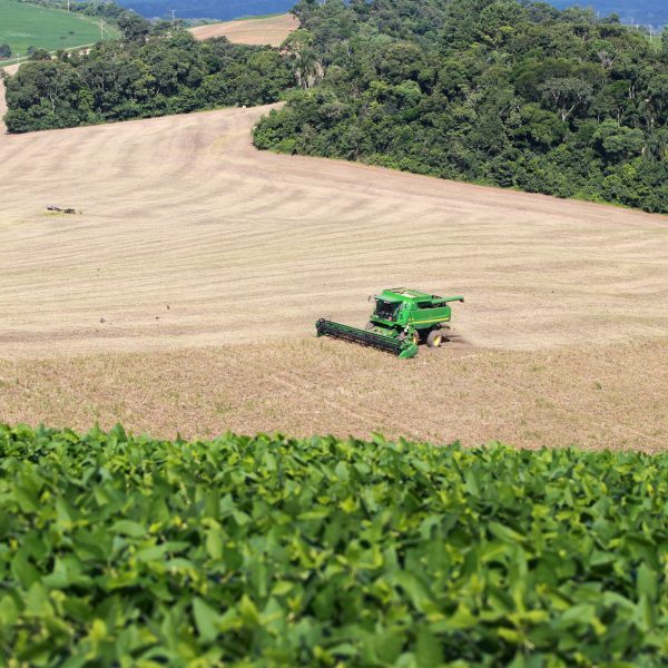 Agronegócio paranaense registra crescimento extraordinário: Valor Bruto de Produção dobra em apenas seis anos