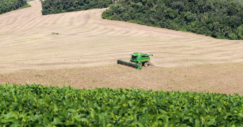 Agronegócio paranaense registra crescimento extraordinário: Valor Bruto de Produção dobra em apenas seis anos