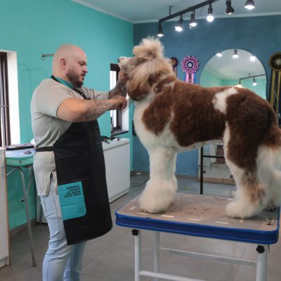 Setor de serviços impulsiona o emprego em Guarapuava