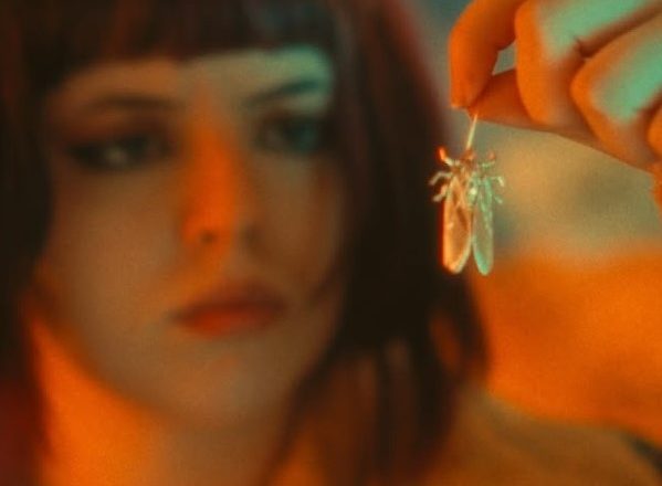 Hoje (30), a Mostra de Cinema de Guarapuava brilha com uma seleção especial de curtas-metragens