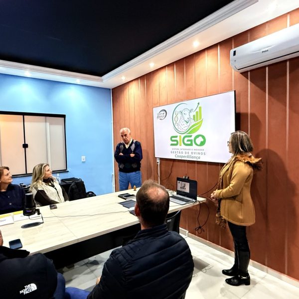 Guarapuava apresenta sistema inovador que transforma a ovinocultura na América Latina com tecnologia de ponta