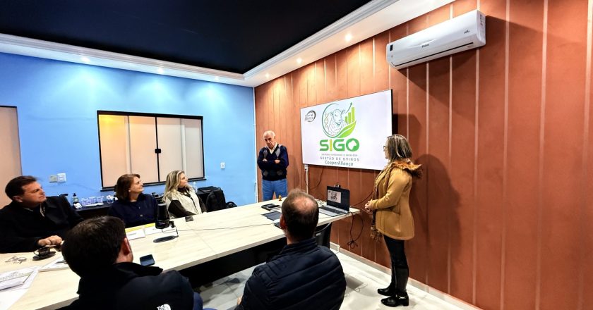 Guarapuava apresenta sistema inovador que transforma a ovinocultura na América Latina com tecnologia de ponta