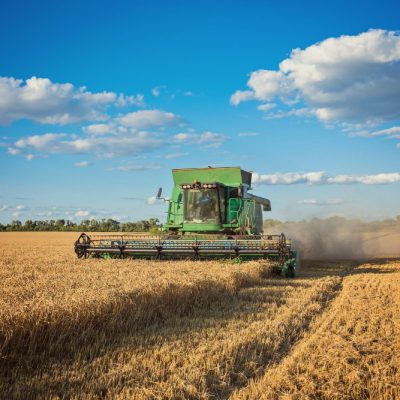 Produção de grãos pode atingir 360,1 milhões de toneladas, prevê Conab