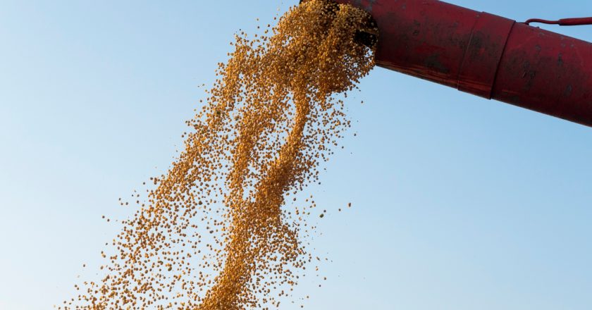 Projeção do IBGE indica colheita de 347,4 milhões de toneladas para 2026