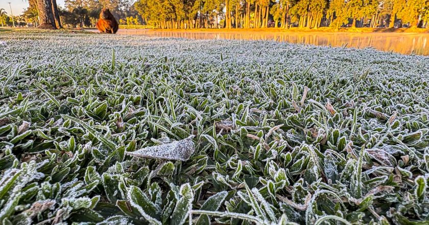 Geada e temperaturas mínimas históricas marcam a quarta-feira no Paraná