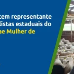 Pecuarista de Guarapuava se destaca como finalista no Prêmio Sebrae Mulher de Negócios do Estado