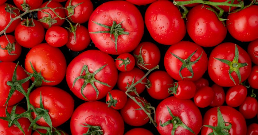 Aumento no preço do tomate impulsiona inflação em Guarapuava, que registra 0,59% em setembro