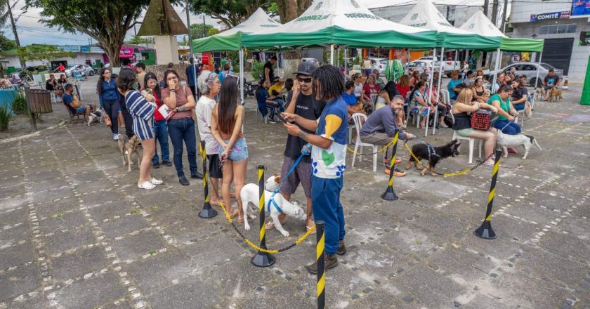 Vacinação Solidária: VetMóvel Paraná oferece imunização de cães e gatos na Ilha dos Valadares